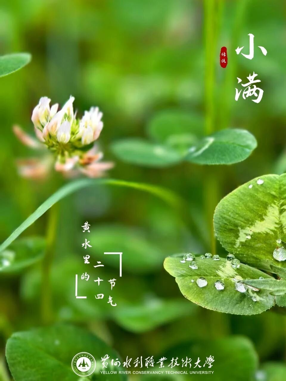 周口文理职业十大滚球app官网十大滚