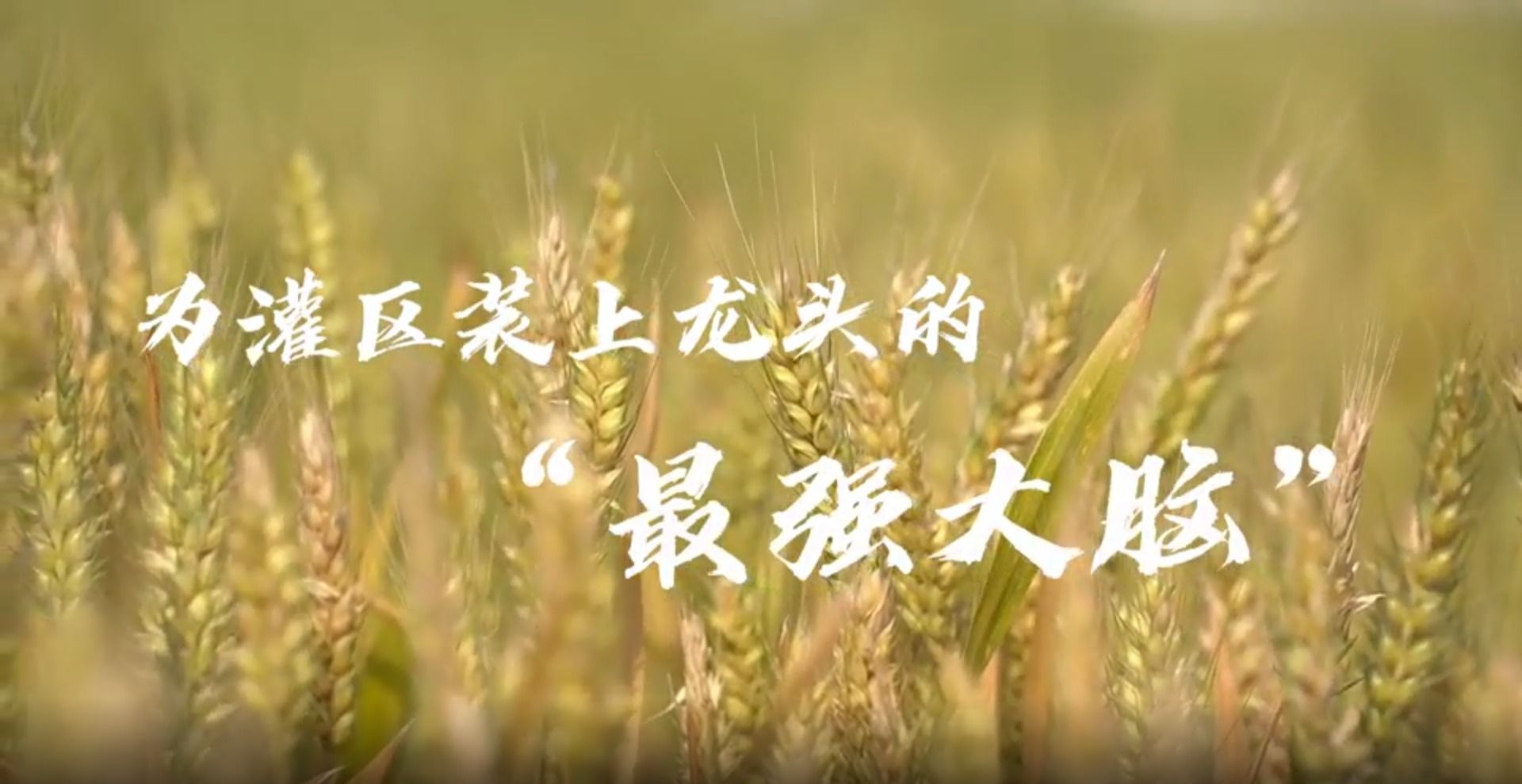 慰问外派靠谱的滚球app