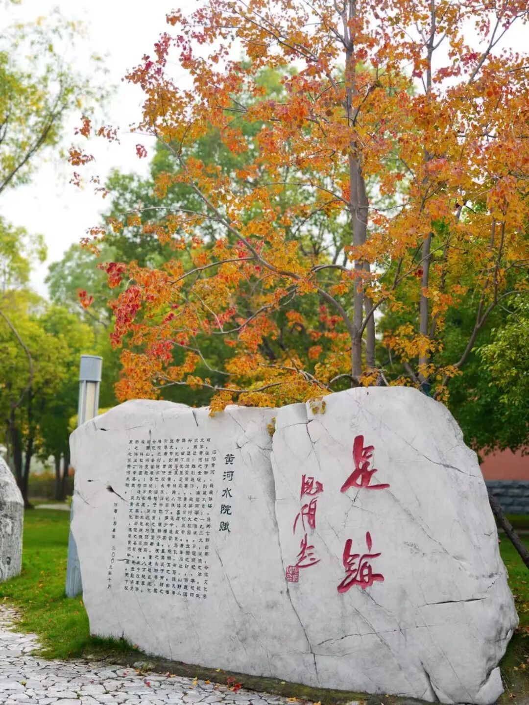 版权所有
