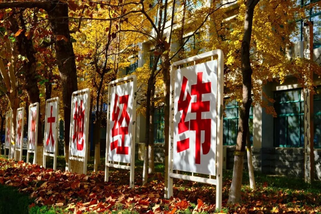 靠谱的滚球app手机版登录